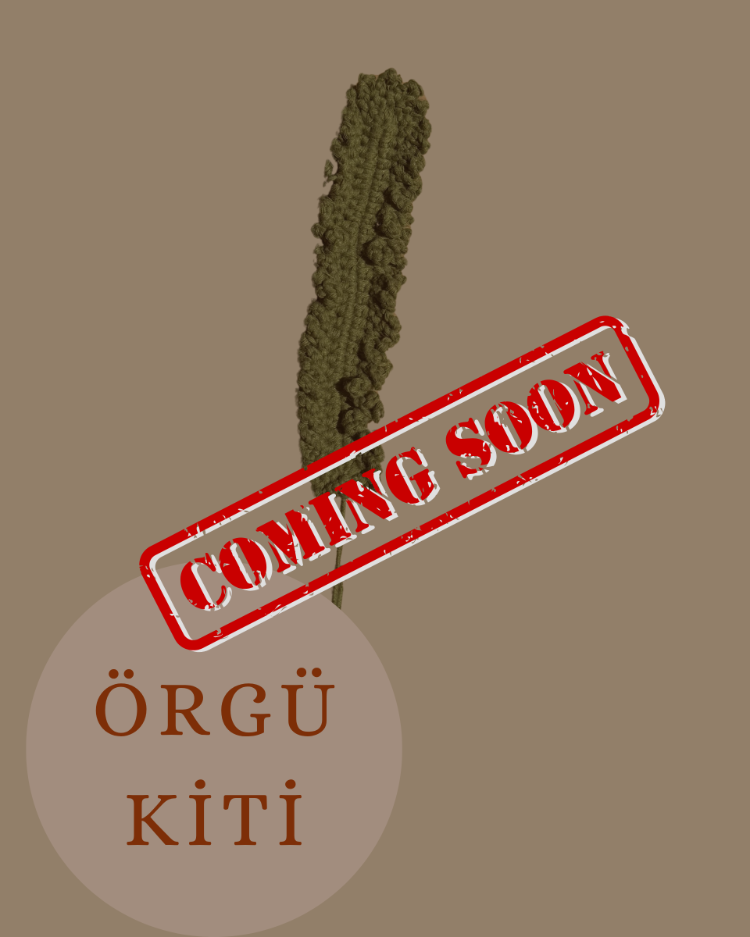 Eğrelti Otu Örgü Kiti