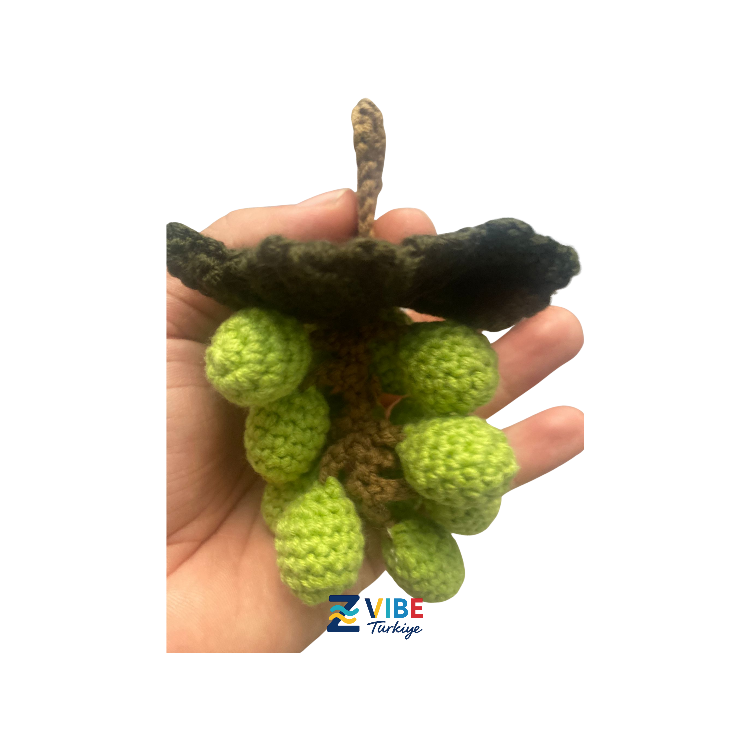 Meyve sepeti ve Arı Maya ( Sembolik ve kavram oyunları )