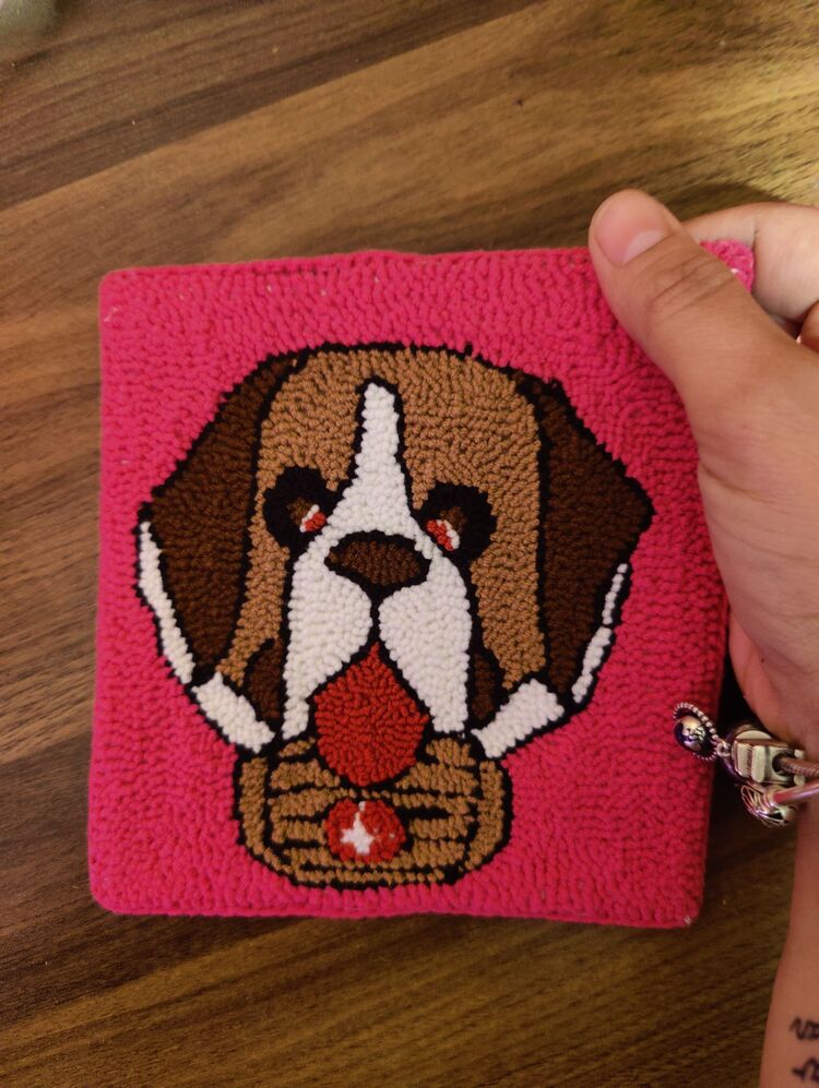 Punch SaintBernard Pano