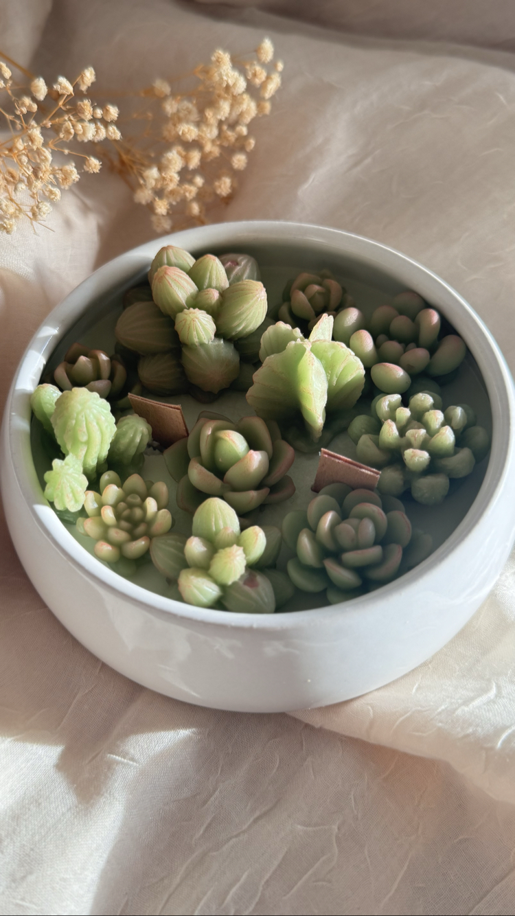 Porselen kasede skulent mum