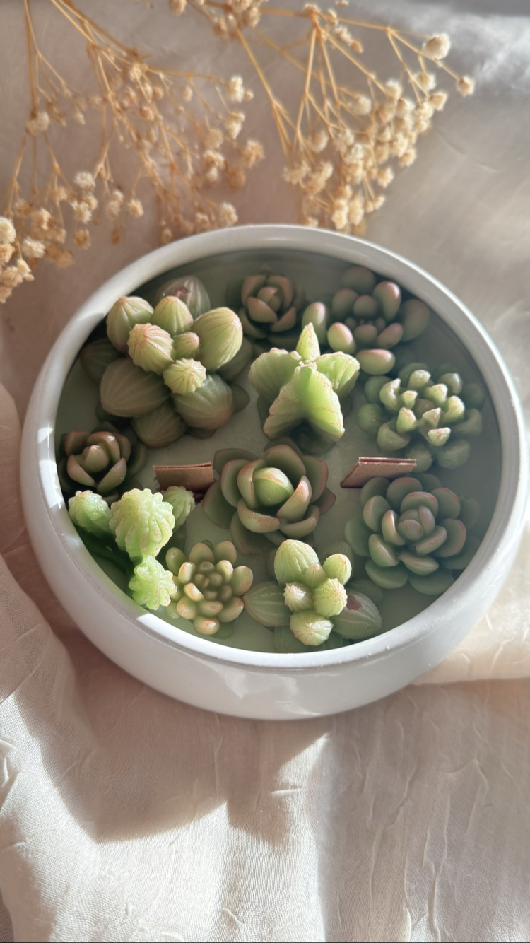 Porselen kasede skulent mum