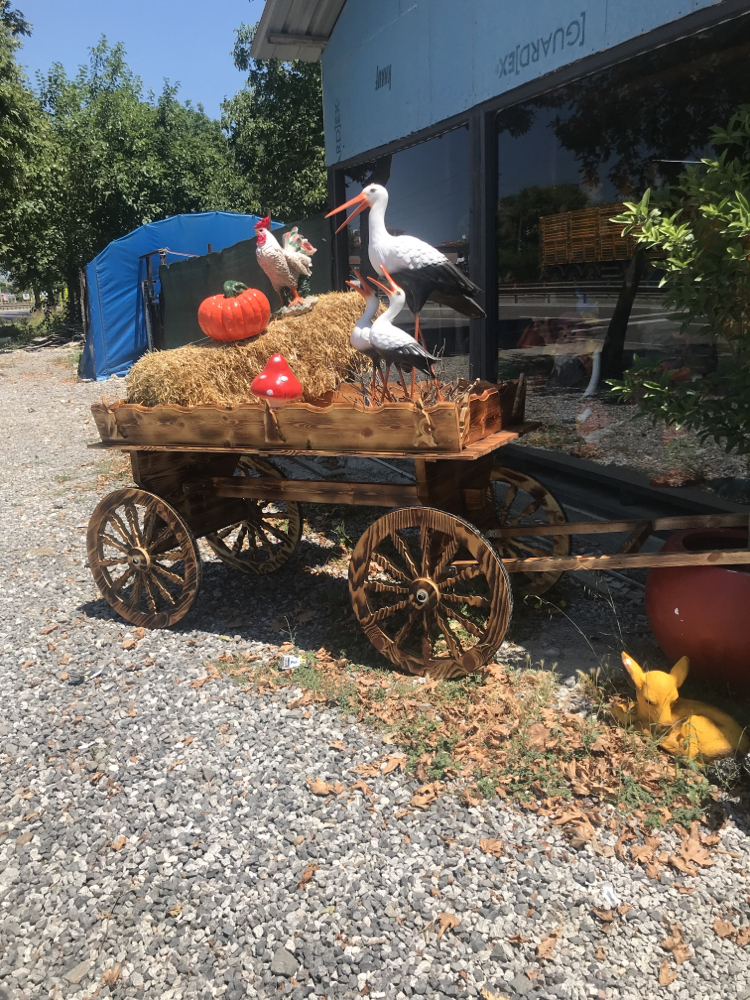 Büyük boy at arabası