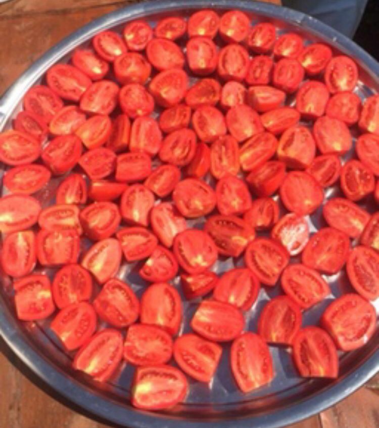 kuru domates