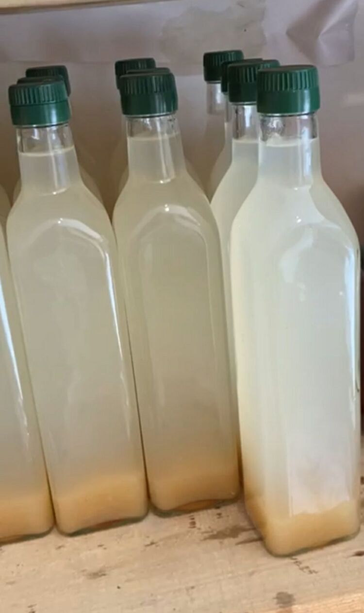 elma sirkesi (organik )500 ml