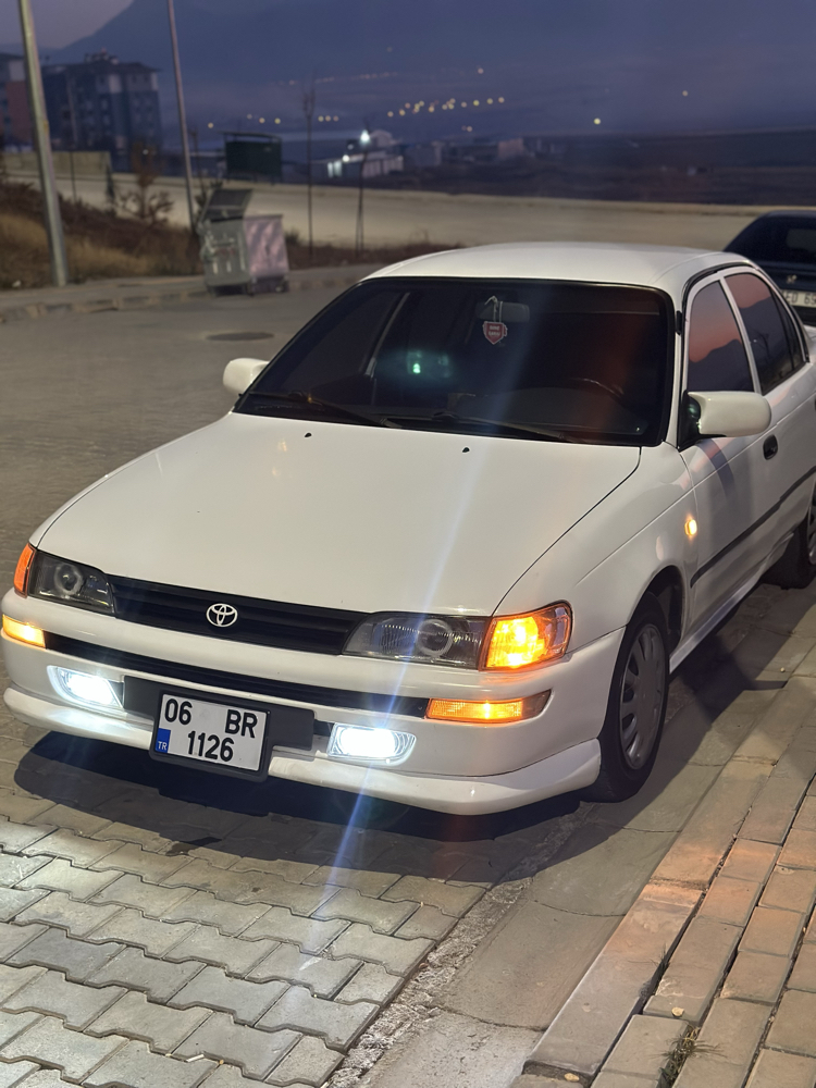 Yarasa ayna kapak
