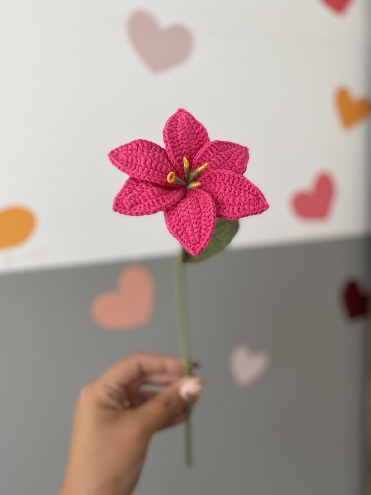 Minik Lily
