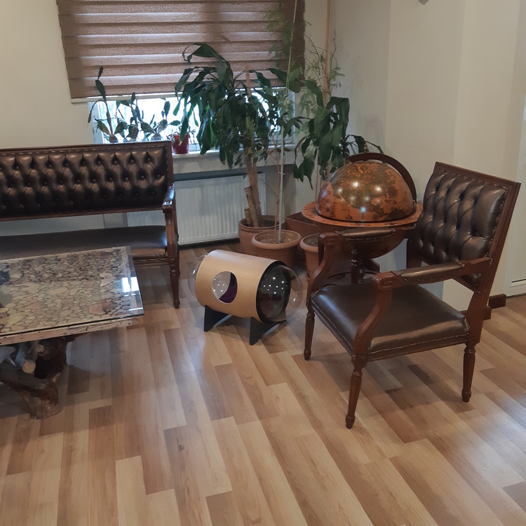 KAPSÜL KEDİ YUVASI