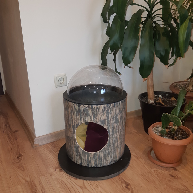 KEDİ YUVASI