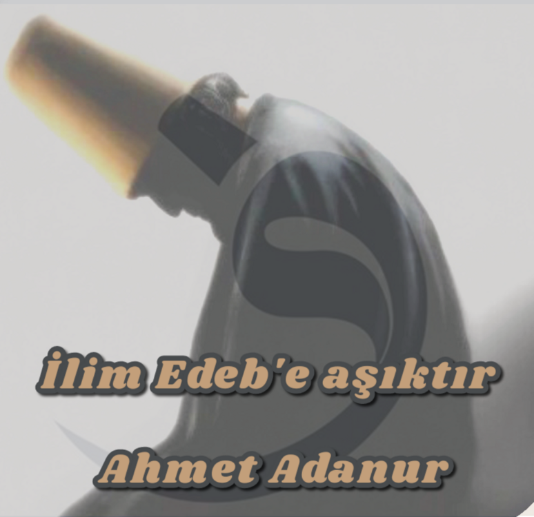 FİKİR KIRINTILARI