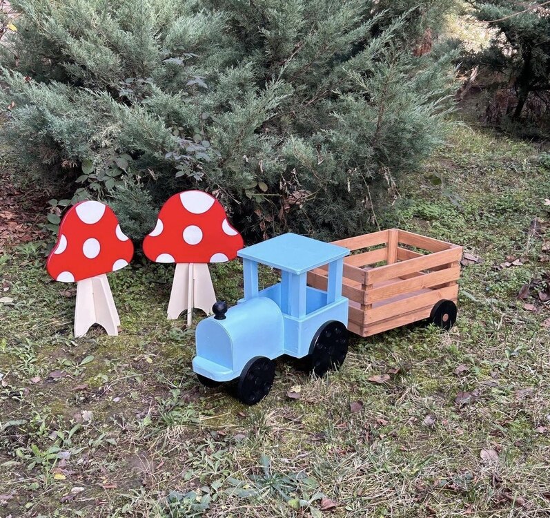 Mavi kasalı tren