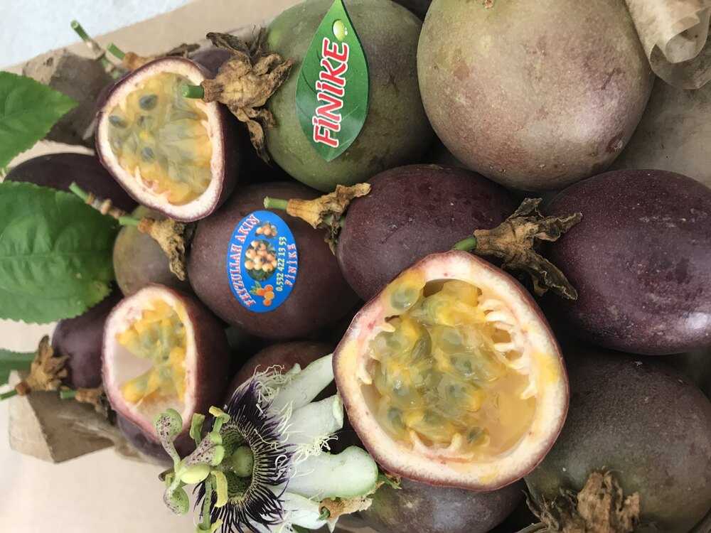 Çarkıfelek (Passion Fruit)