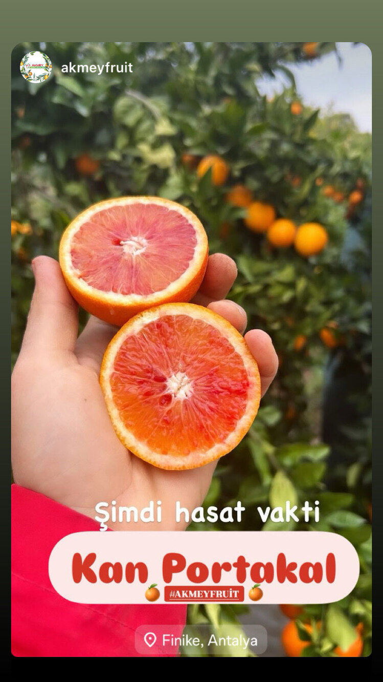 Kan Portakal