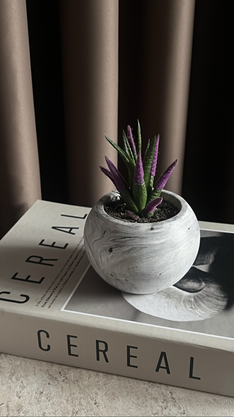 Marble Pure Beton Saksı