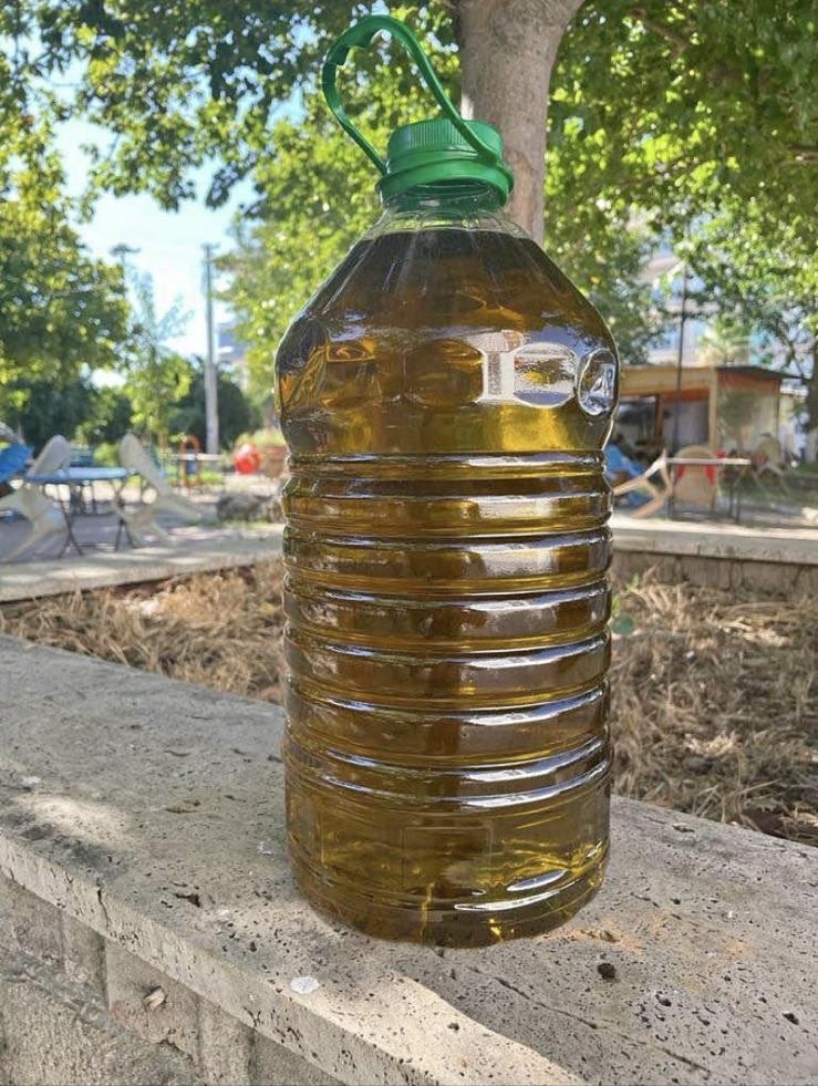 Normal Sıkım Zeytinyağı 5 LT