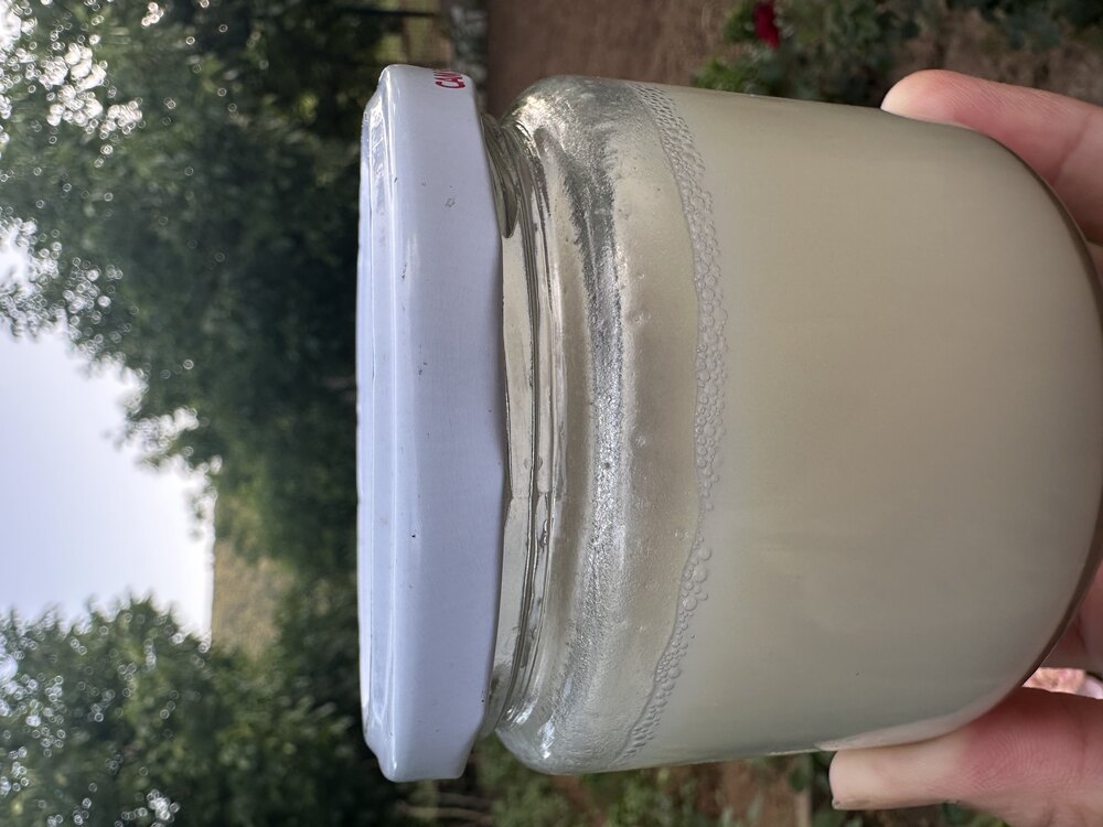 Kuzu Kuyruk Yağı Masaj Kremi