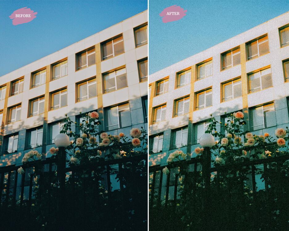 Analog - LR Preset Pack