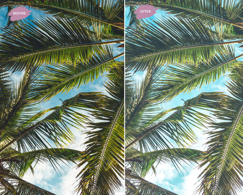 Bright Coconut - LR Preset Pack