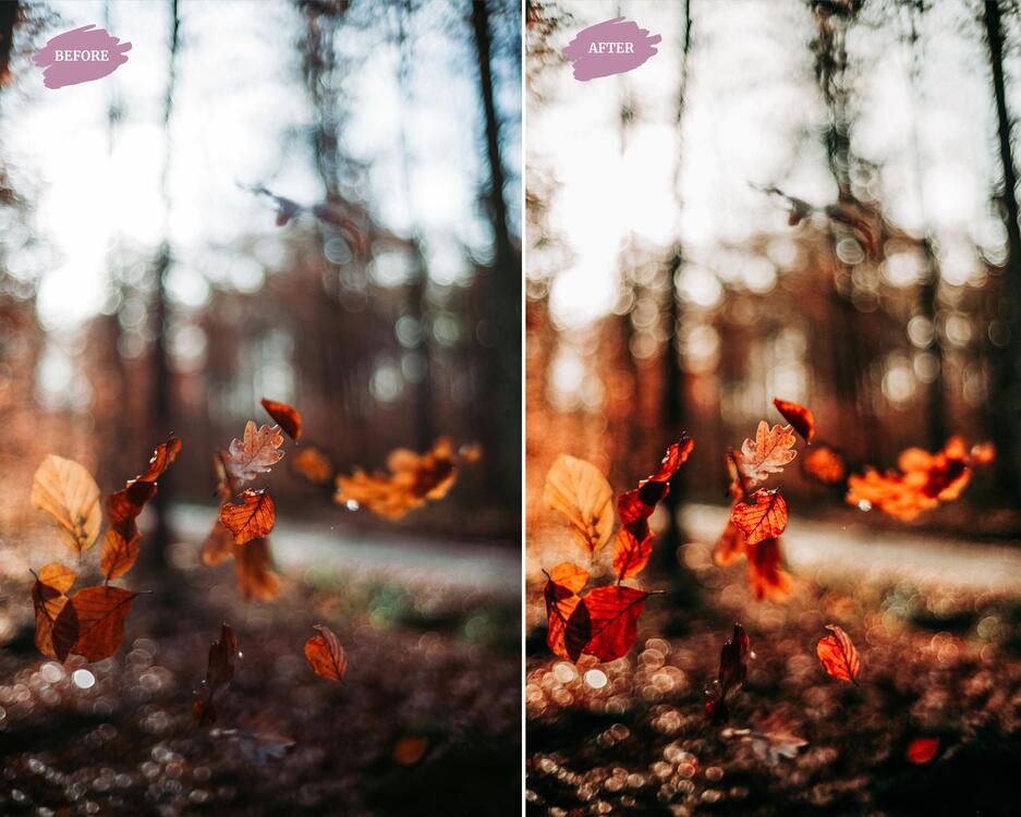 Autumn - LR Preset Pack