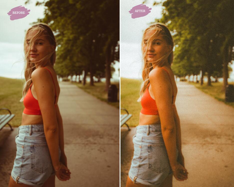Analog - LR Preset Pack