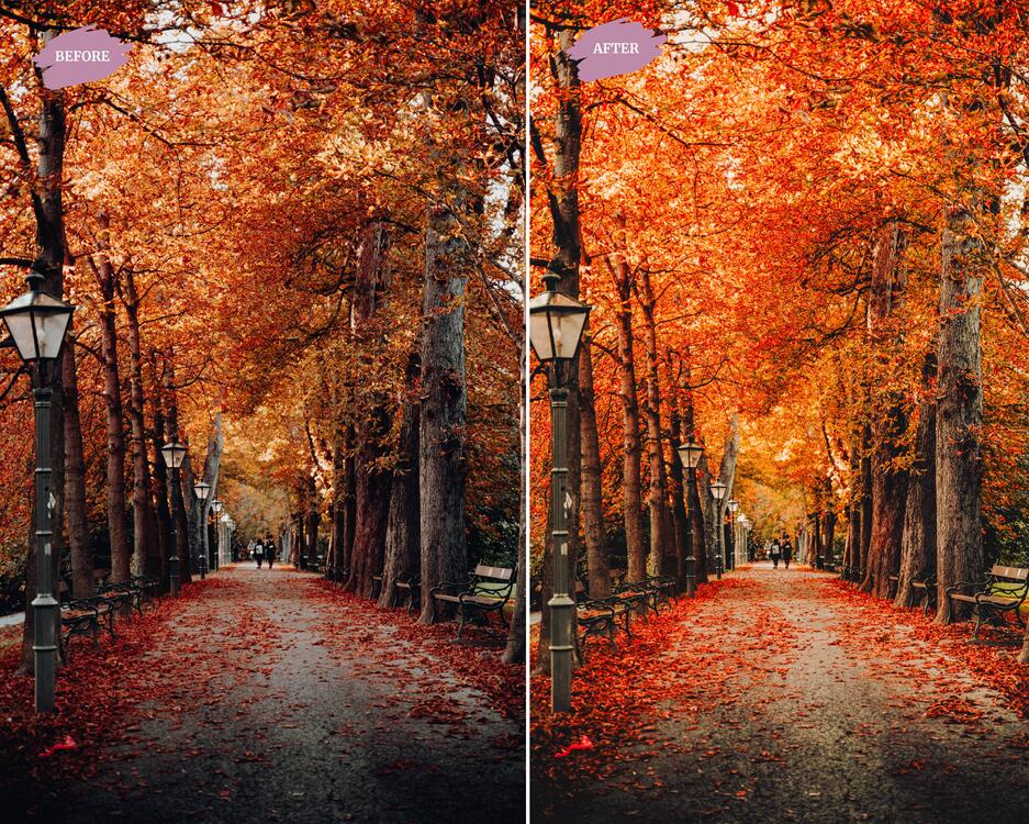 Autumn - LR Preset Pack