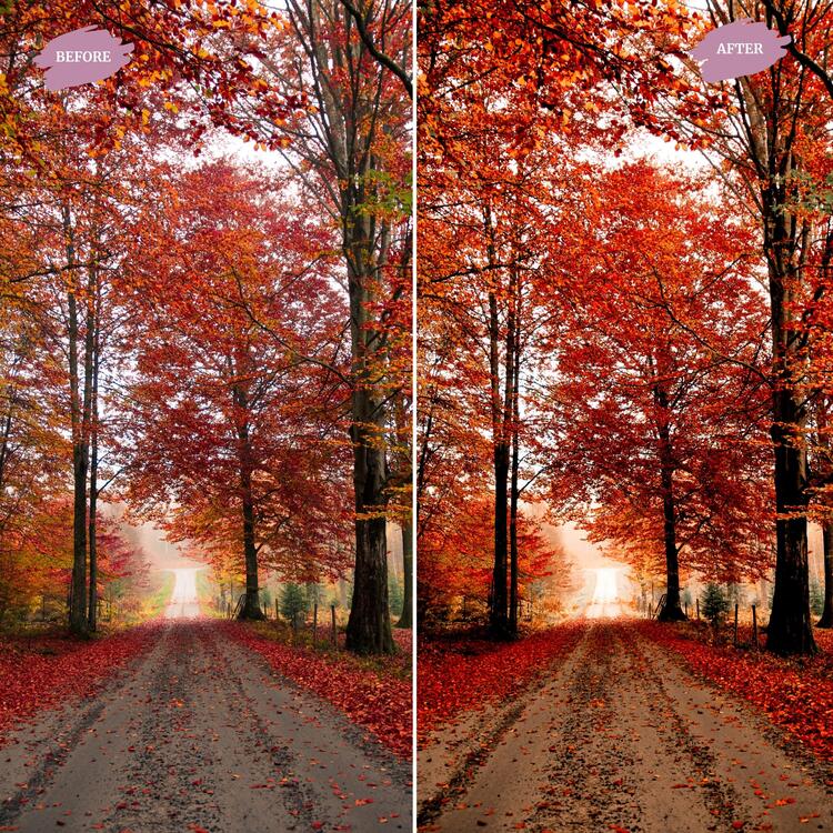 October - LUTs Pack