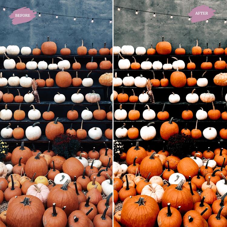 October - LUTs Pack