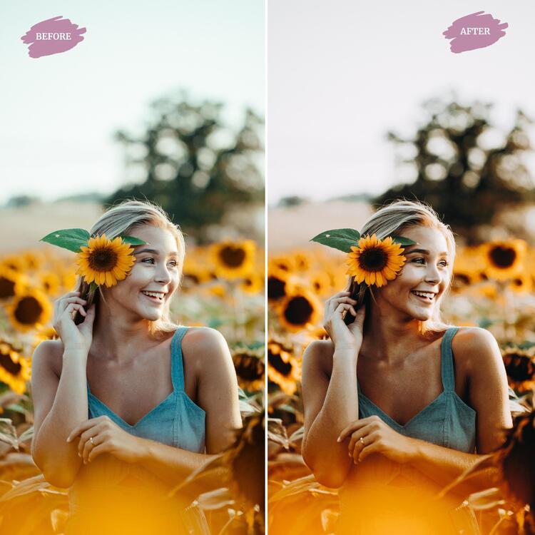 Golden Hour - LUTs Pack