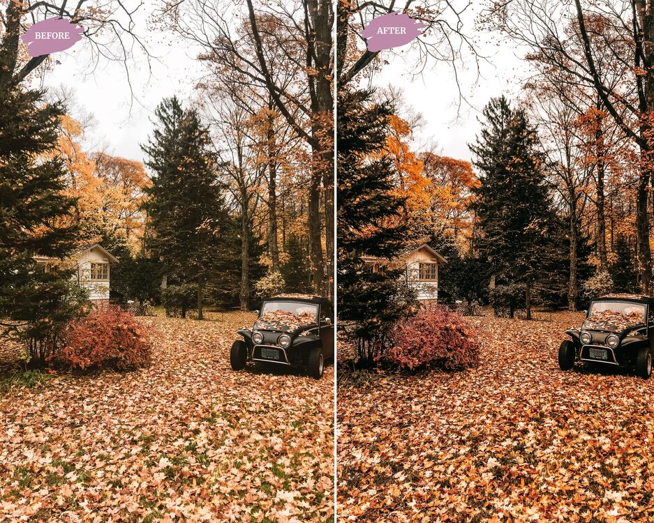 Autumn Blogger - LR Preset Pack