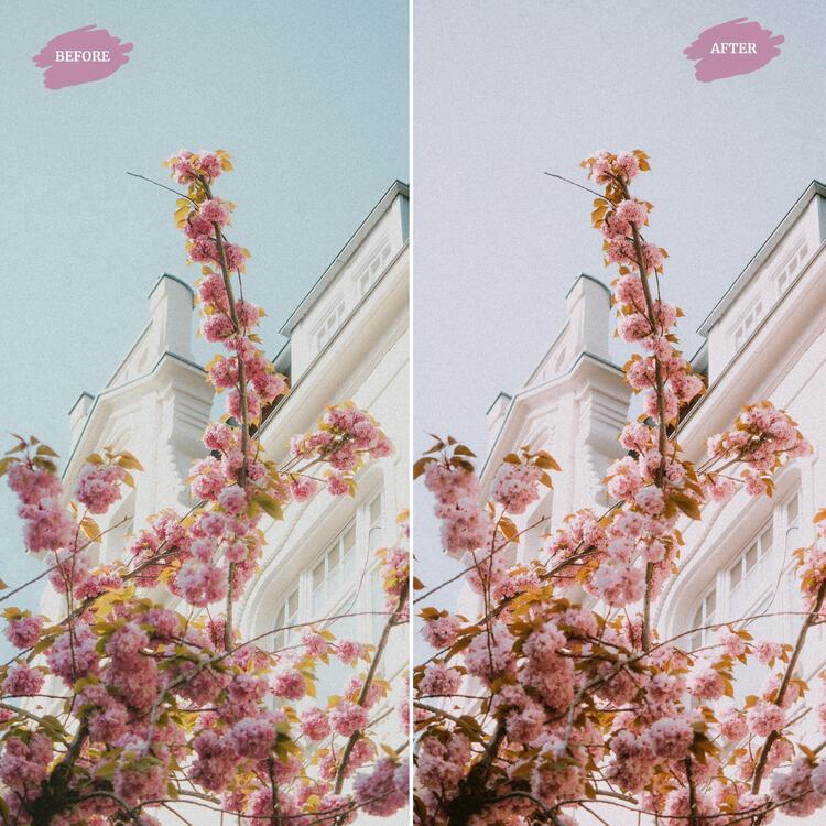 Bohemian - LUTs Pack