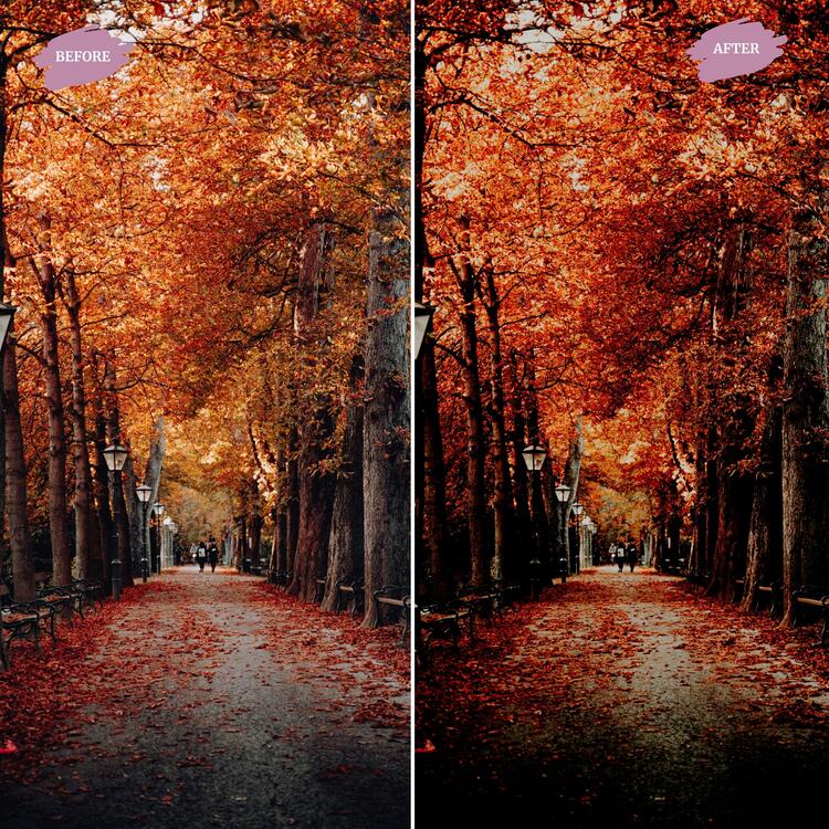 Moody Fall - LUTs Pack