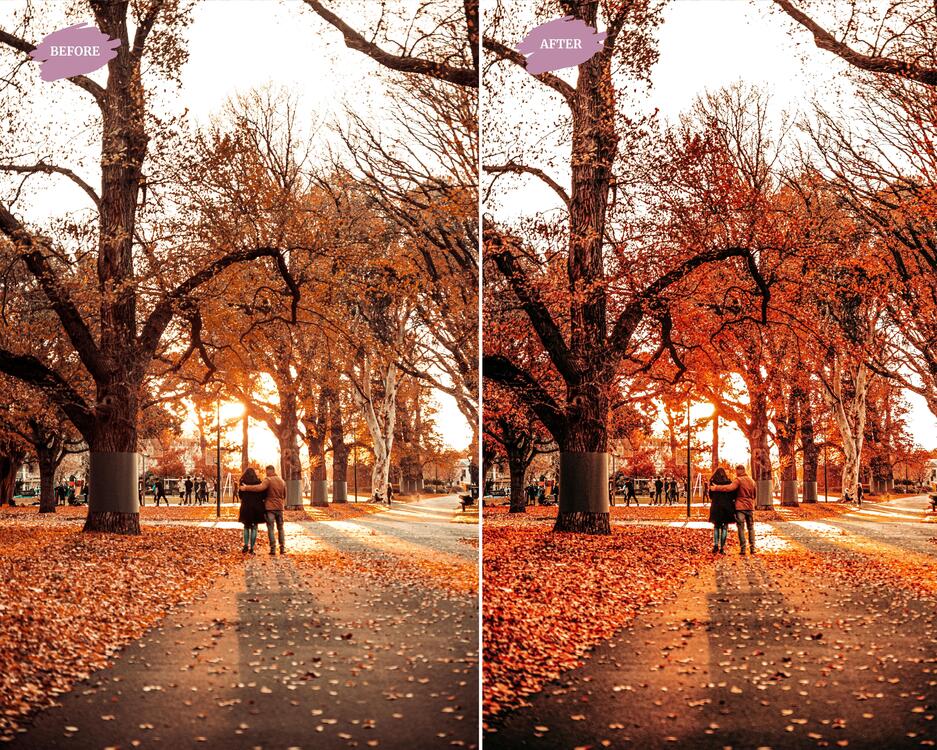 Autumn Blogger - LR Preset Pack