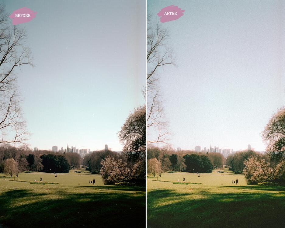 Analog - LR Preset Pack
