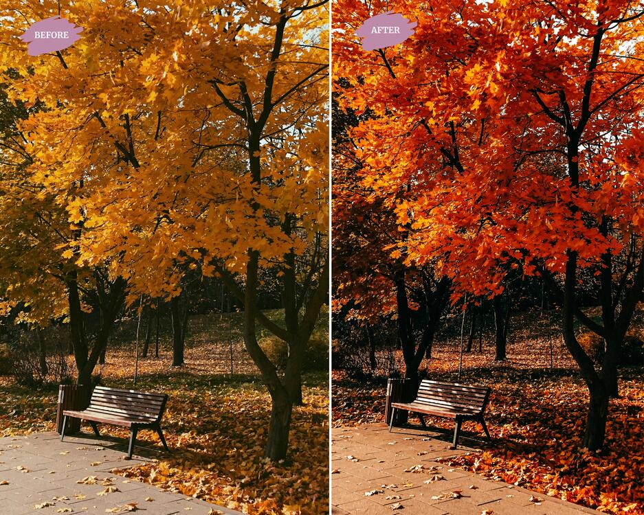 Autumn Blogger - LR Preset Pack