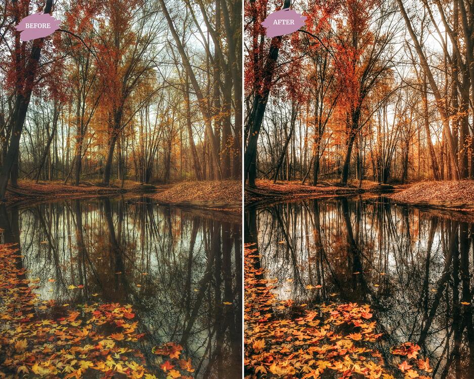 Autumn Leaves - LR Preset Pack
