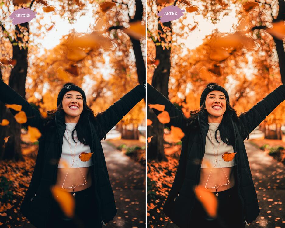 Autumn Blogger - LR Preset Pack
