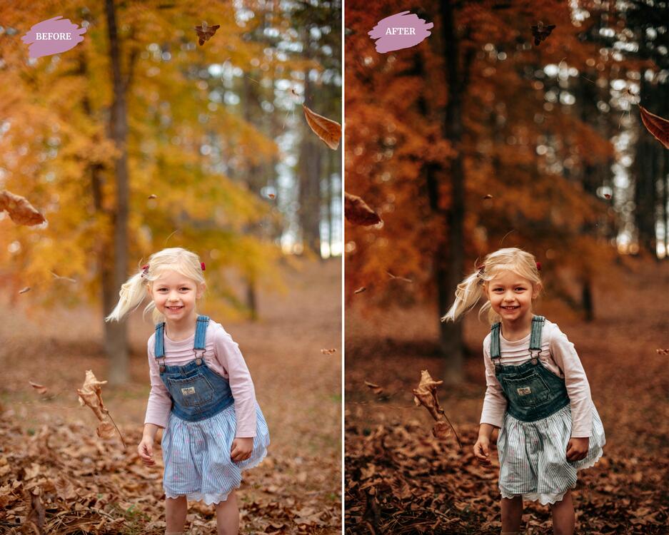 Autumn Leaves - LR Preset Pack