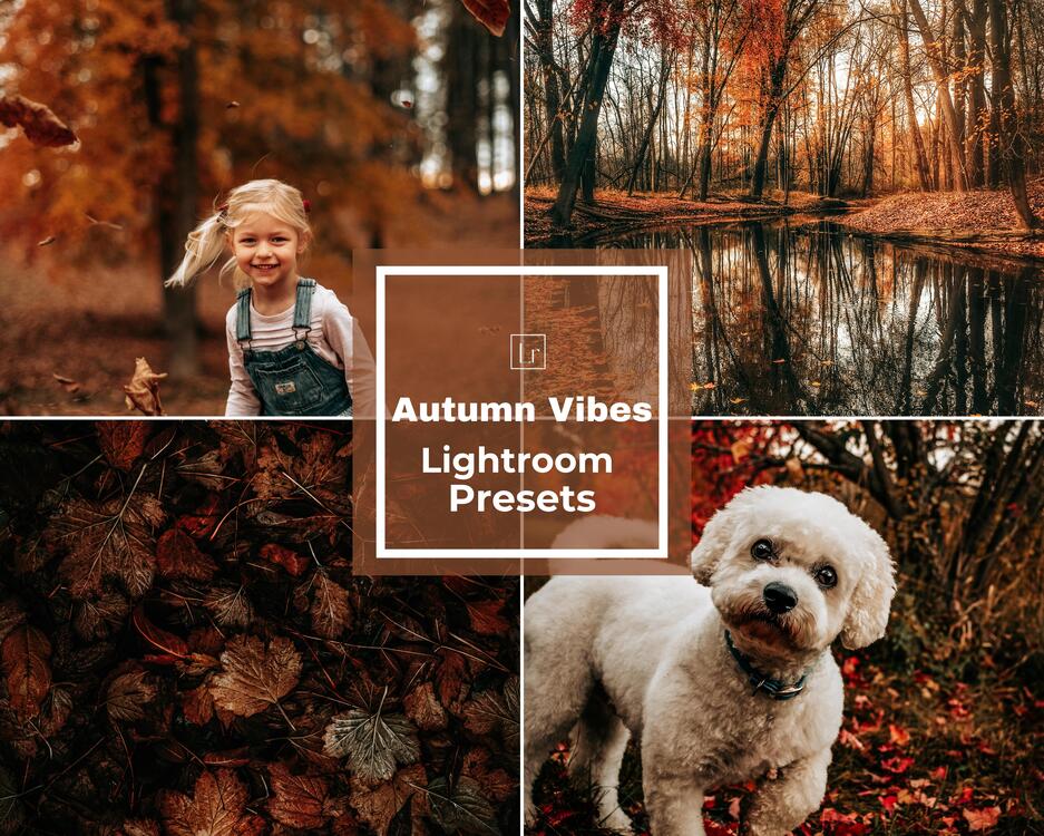 Autumn Leaves - LR Preset Pack