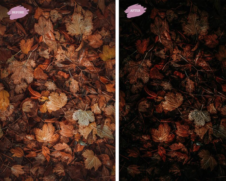 Autumn Leaves - LR Preset Pack