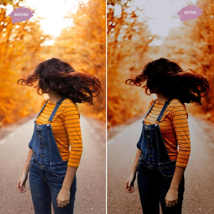 Moody Fall - LUTs Pack