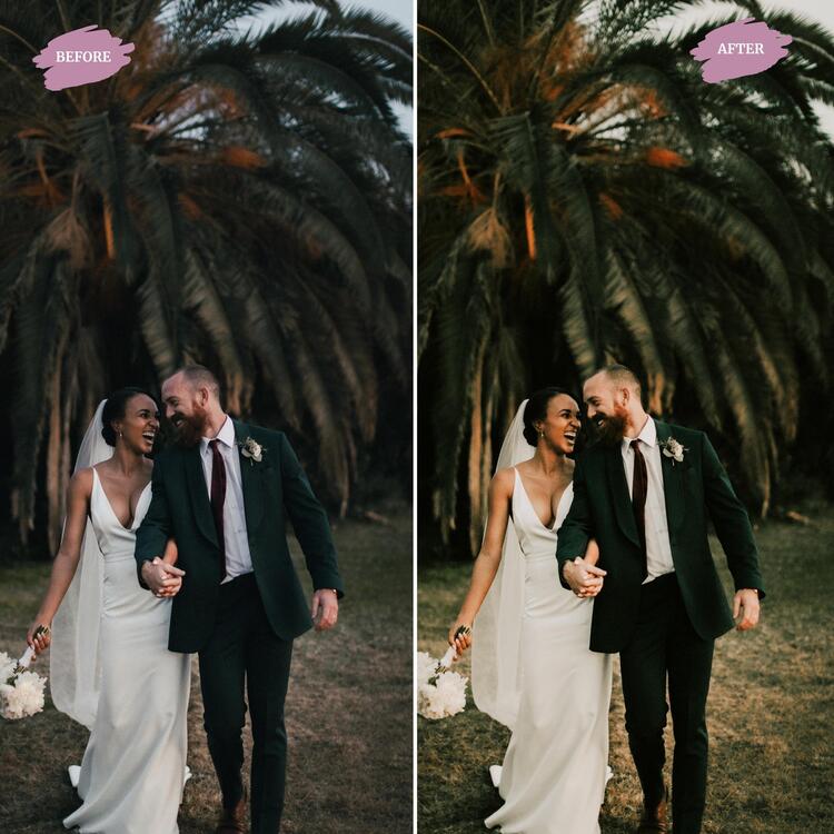 Royal Wedding - LUTs Pack