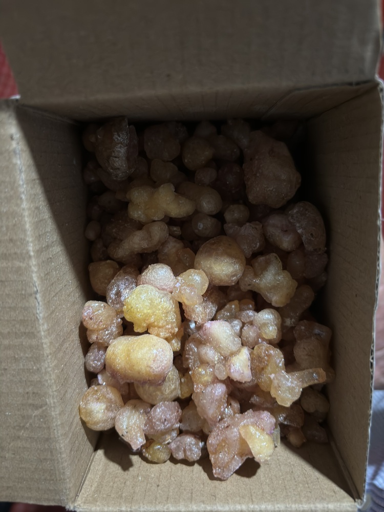 Çam Sakızı(50gr)