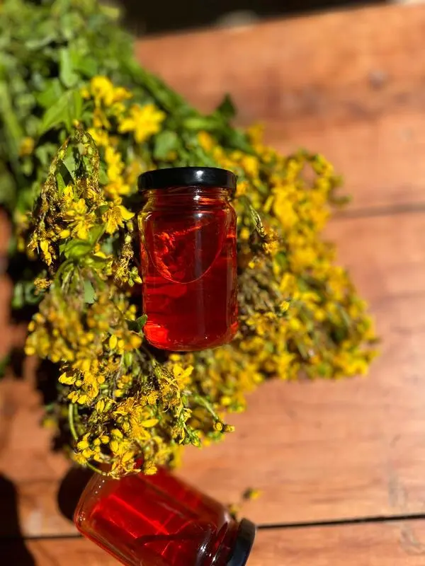 Kantaron Yağı(100ml)