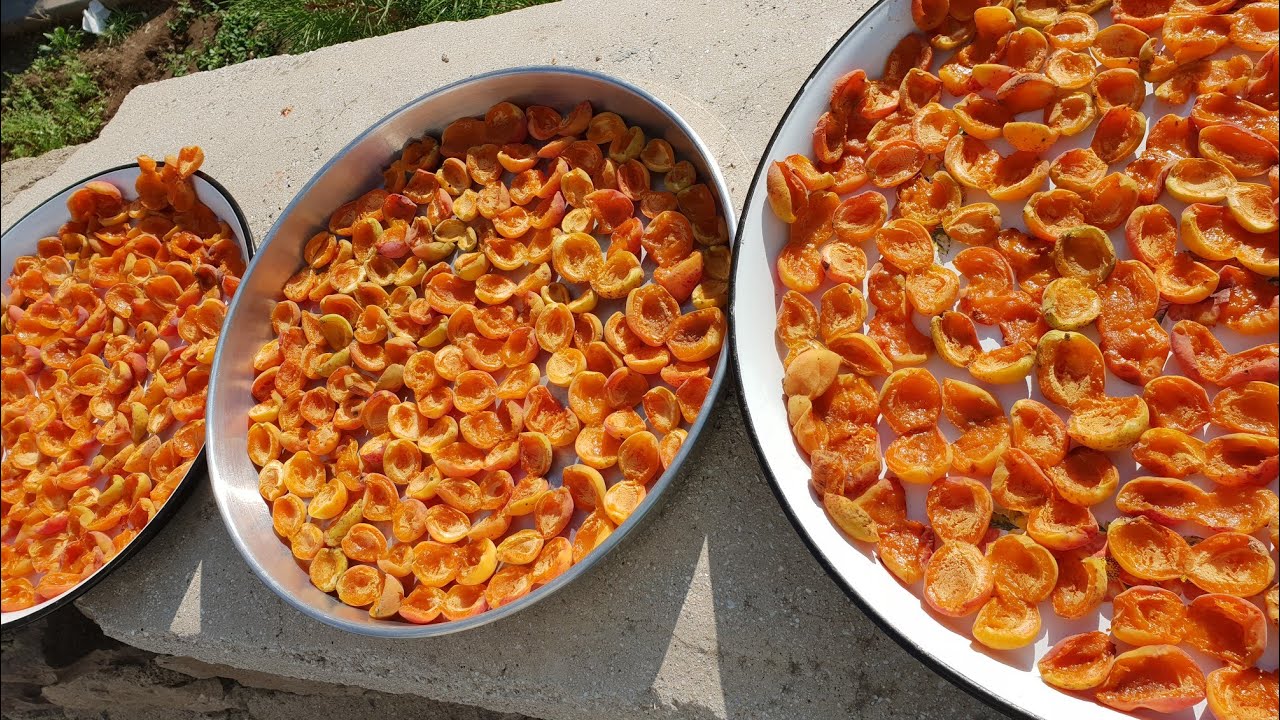 Kayısı Kurusu (1 Kg) 