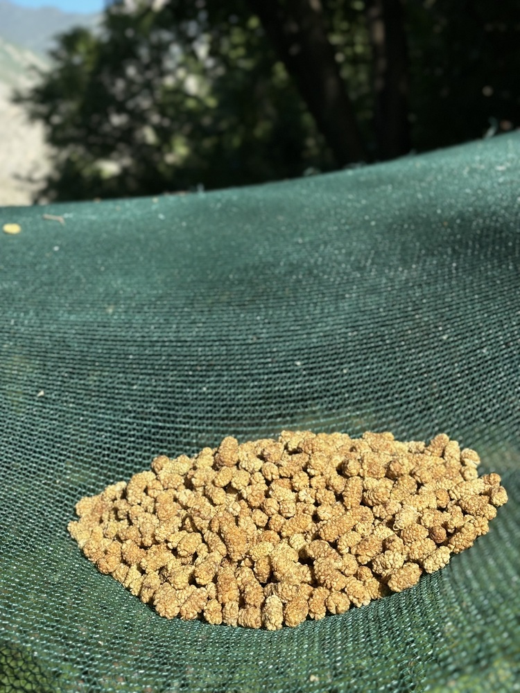 Kuru Dut (1 Kg)