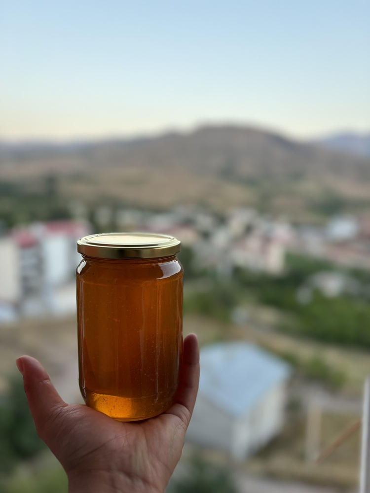 Süzme Bal (3Kg)