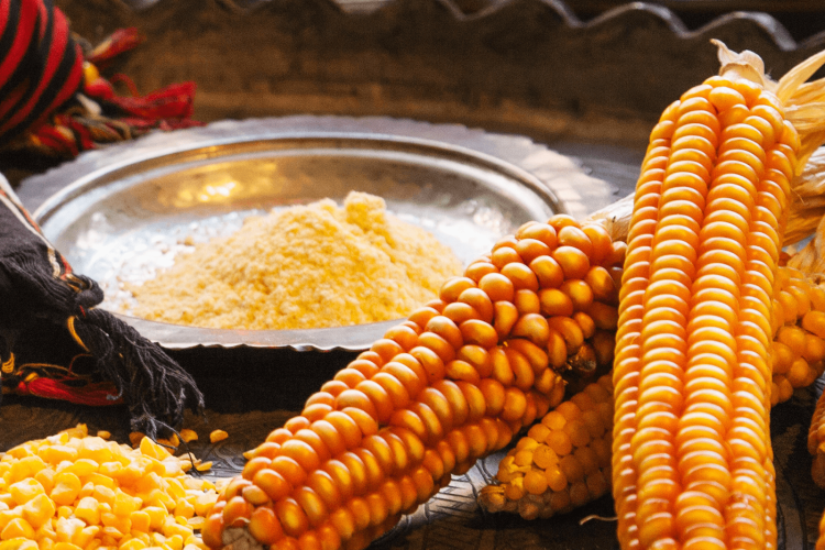 Çorbanlık İspir Mısırı (1Kg)