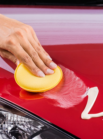 Carnauba Wax / 25 Kg