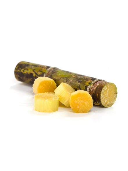 Carnauba Wax / 25 Kg