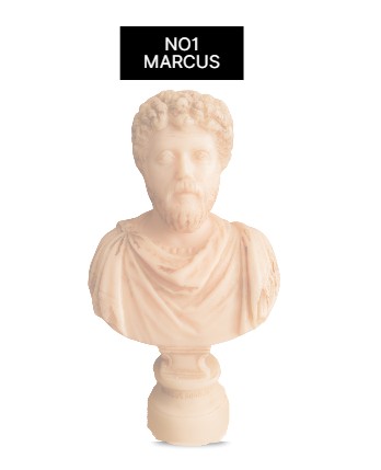 NO.1 MARCUS (Tek Renk)