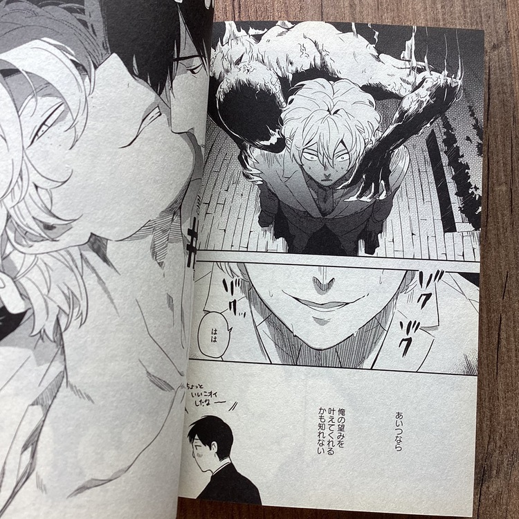 Akuheki 1-2. Cilt